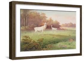 From 'The Knowsley Menagerie', October 24th 1850-Joseph Wolf-Framed Giclee Print