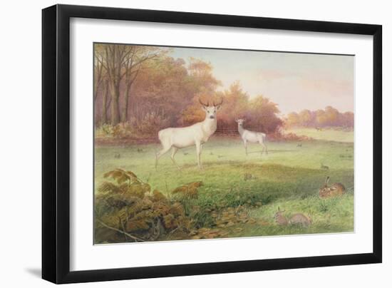From 'The Knowsley Menagerie', October 24th 1850-Joseph Wolf-Framed Giclee Print