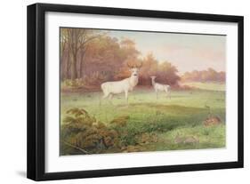 From 'The Knowsley Menagerie', October 24th 1850-Joseph Wolf-Framed Giclee Print