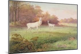 From 'The Knowsley Menagerie', October 24th 1850-Joseph Wolf-Mounted Giclee Print