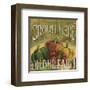 From the Market I-Daphne Brissonnet-Framed Art Print