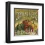 From the Market I-Daphne Brissonnet-Framed Art Print