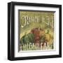 From the Market I-Daphne Brissonnet-Framed Giclee Print