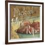 From the Market III-Daphné B-Framed Art Print