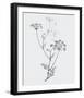 From the Meadow-Maria Mendez-Framed Giclee Print