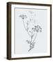 From the Meadow-Maria Mendez-Framed Giclee Print