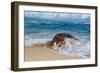 From the Sea-Peter Stahl-Framed Giclee Print