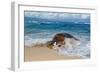 From the Sea-Peter Stahl-Framed Giclee Print