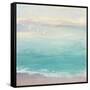 From the Shore-Julia Purinton-Framed Stretched Canvas