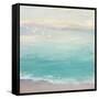 From the Shore-Julia Purinton-Framed Stretched Canvas