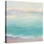 From the Shore-Julia Purinton-Stretched Canvas
