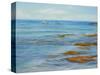 From the Shore-Angeles M Pomata-Stretched Canvas