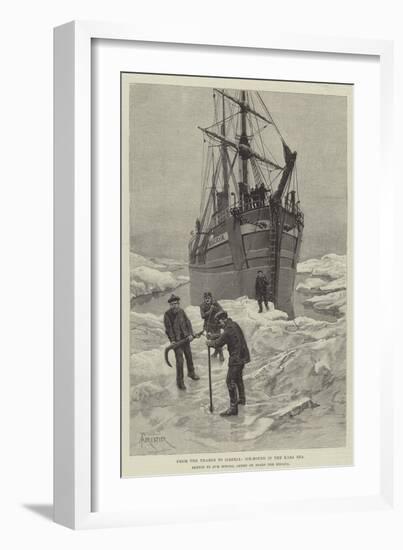 From the Thames to Siberia, Ice-Bound in the Kara Sea-Amedee Forestier-Framed Giclee Print