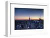 From the Top of the Rock NYC-null-Framed Art Print