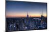 From the Top of the Rock NYC-null-Mounted Art Print