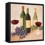 From the Vineyard-Josefina-Framed Stretched Canvas