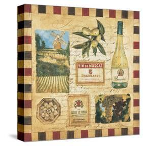 From the Wine Land II-Elizabeth Jardine-Stretched Canvas