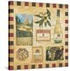 From the Wine Land II-Elizabeth Jardine-Stretched Canvas