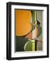 From Time To Time-Ruth Palmer-Framed Art Print