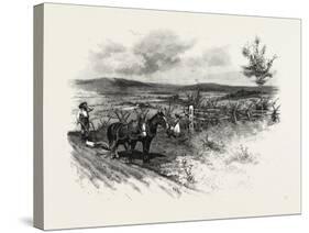 From Toronto, Westward, Canada, Nineteenth Century-null-Stretched Canvas