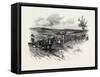 From Toronto, Westward, Canada, Nineteenth Century-null-Framed Stretched Canvas