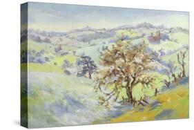 From Udimore Towards Peasmarch, Sussex, in Winter-Anne Durham-Stretched Canvas