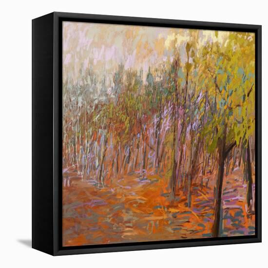 From Where I Stood-Jane Schmidt-Framed Stretched Canvas