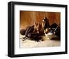 Fromages-Cabannes & Ryman-Framed Art Print