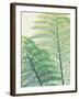 Frond I-Ella Lancaster-Framed Giclee Print