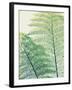 Frond I-Ella Lancaster-Framed Giclee Print