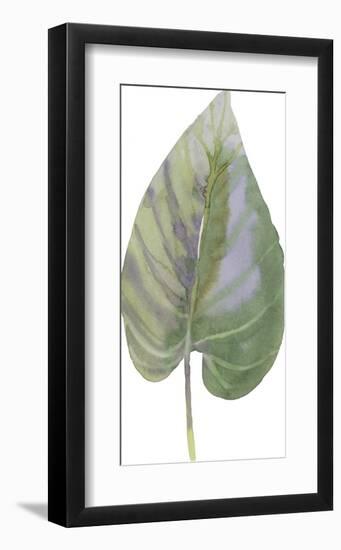 Frond I-Sandra Jacobs-Framed Giclee Print