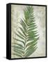 Frond I-Chariklia Zarris-Framed Stretched Canvas