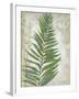 Frond I-Chariklia Zarris-Framed Art Print