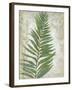 Frond I-Chariklia Zarris-Framed Art Print