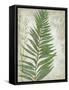 Frond I-Chariklia Zarris-Framed Stretched Canvas