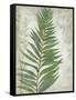 Frond I-Chariklia Zarris-Framed Stretched Canvas