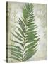 Frond I-Chariklia Zarris-Stretched Canvas