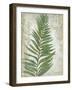 Frond I-Chariklia Zarris-Framed Art Print