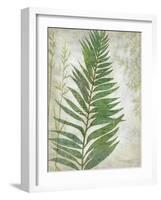 Frond I-Chariklia Zarris-Framed Art Print