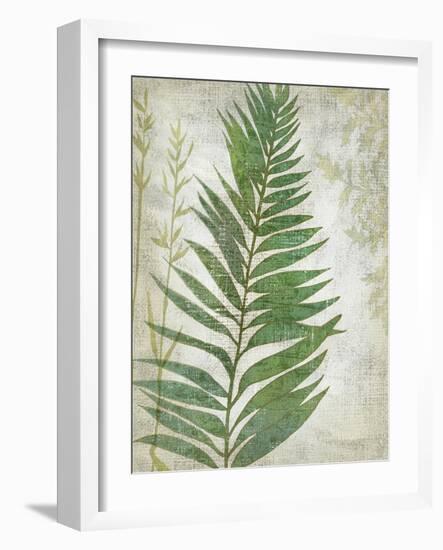 Frond I-Chariklia Zarris-Framed Art Print