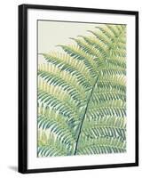 Frond II-Ella Lancaster-Framed Giclee Print