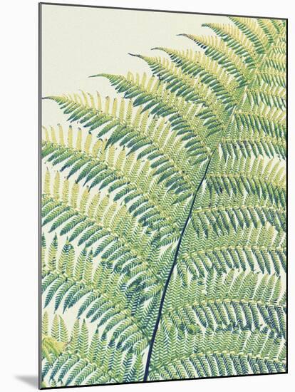 Frond II-Ella Lancaster-Mounted Giclee Print