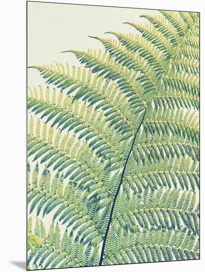 Frond II-Ella Lancaster-Mounted Giclee Print