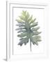 Frond II-Sandra Jacobs-Framed Giclee Print