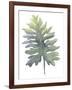 Frond II-Sandra Jacobs-Framed Giclee Print