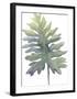 Frond II-Sandra Jacobs-Framed Giclee Print