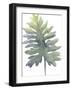 Frond II-Sandra Jacobs-Framed Giclee Print