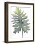 Frond II-Sandra Jacobs-Framed Giclee Print