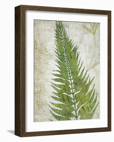 Frond II-Chariklia Zarris-Framed Art Print