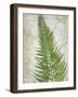 Frond II-Chariklia Zarris-Framed Art Print